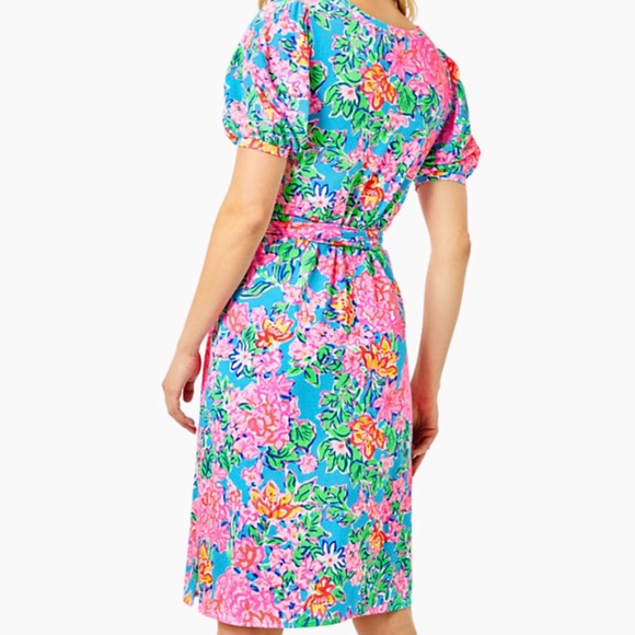 Brand New Lilly Pulitzer Isolde Knee Length Dress in Rose To The Occasion, L - Picture 3 of 4
